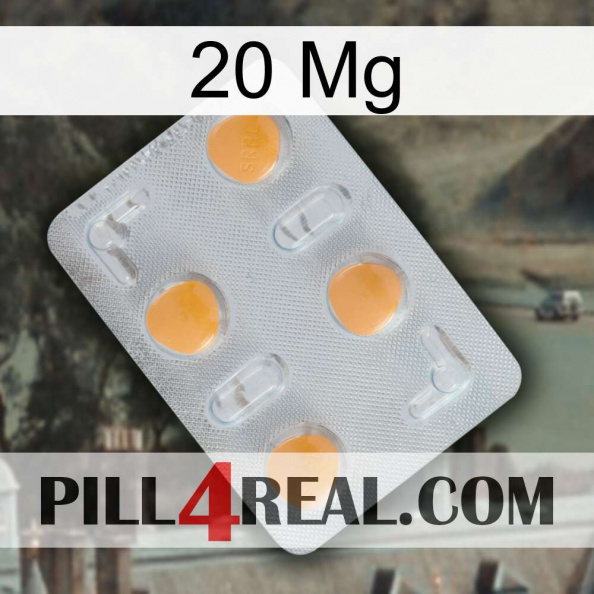 20Mg 24.jpg